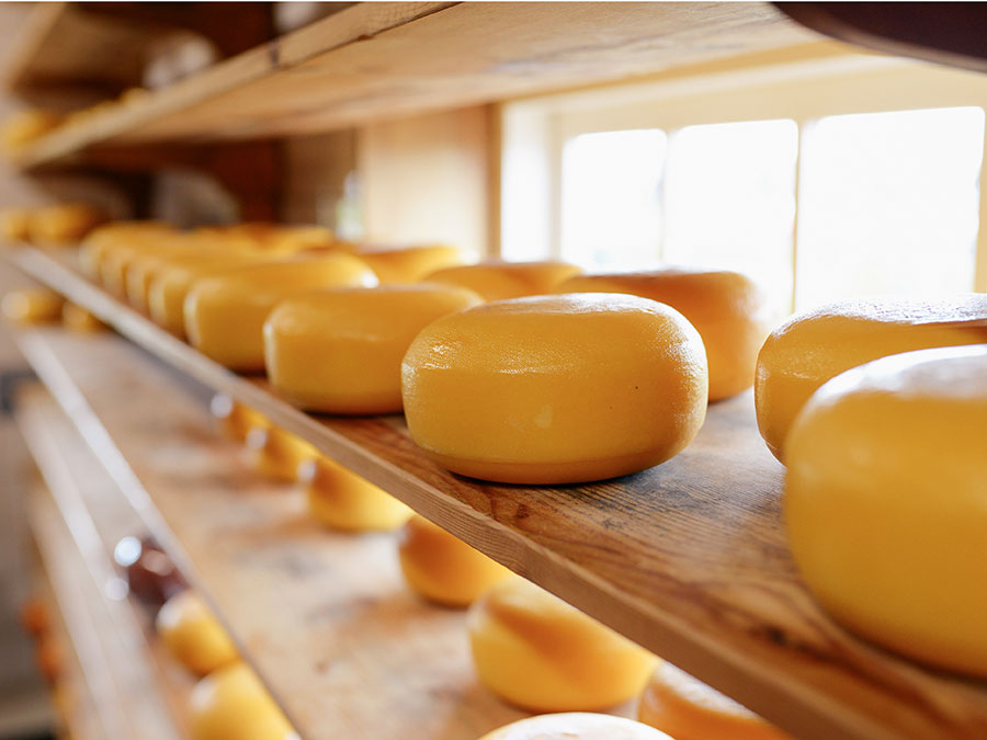 Biologische Goudse kaas uit de Alentejo