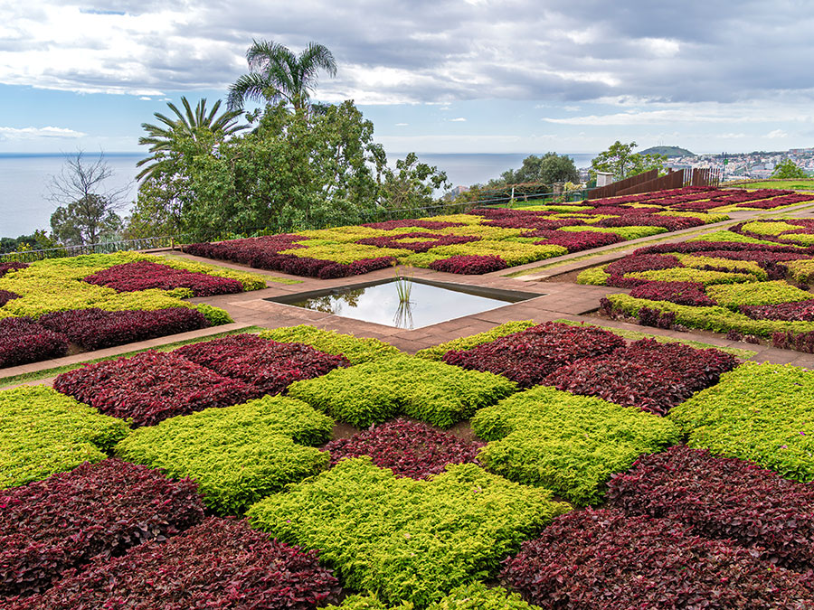 Jardim Botânico da Madeira