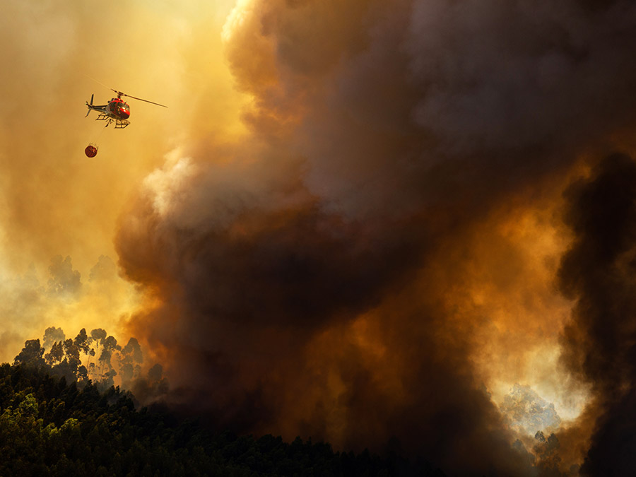 Bosbranden in Monchique