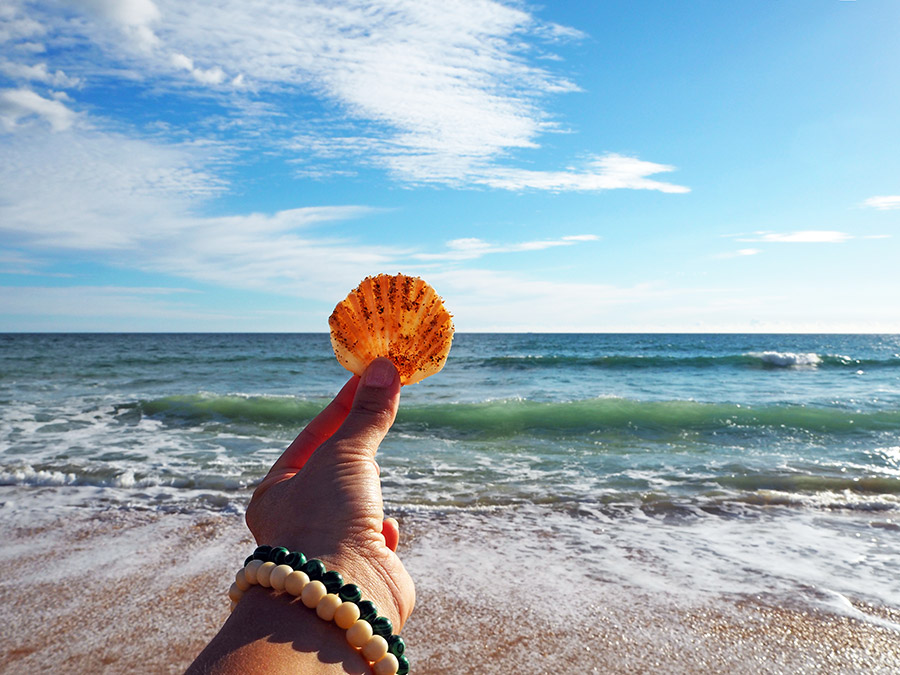 A Taste of Portugal: Sea