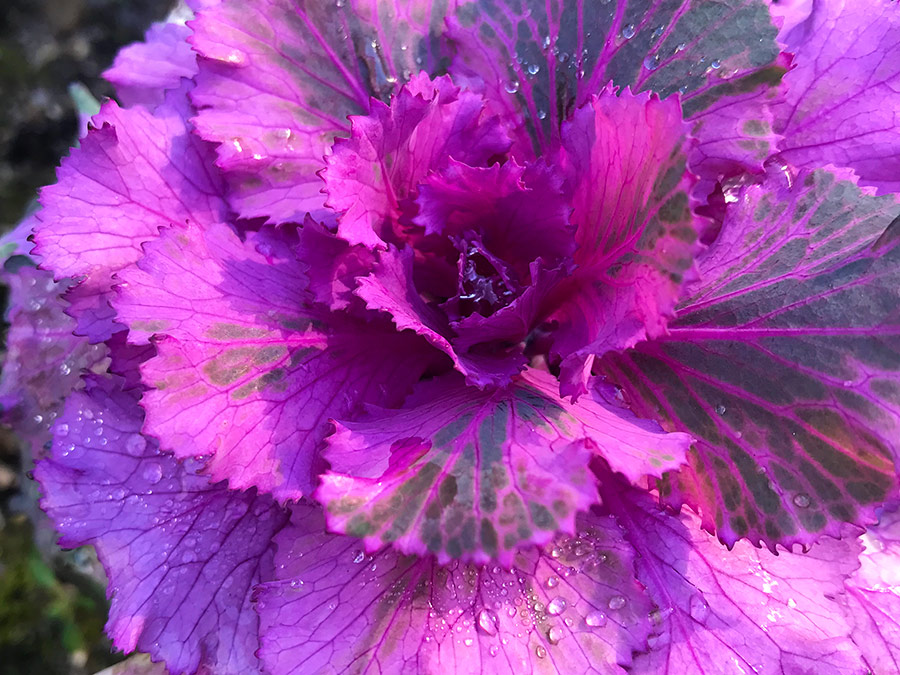 Coimbra: Waar is het Feestje?!