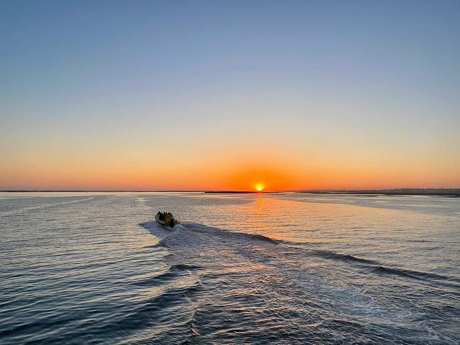Feestvieren en Doorbouwen