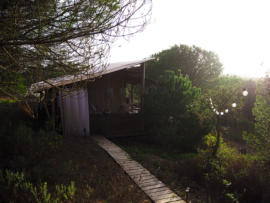 the Lemon Lodge