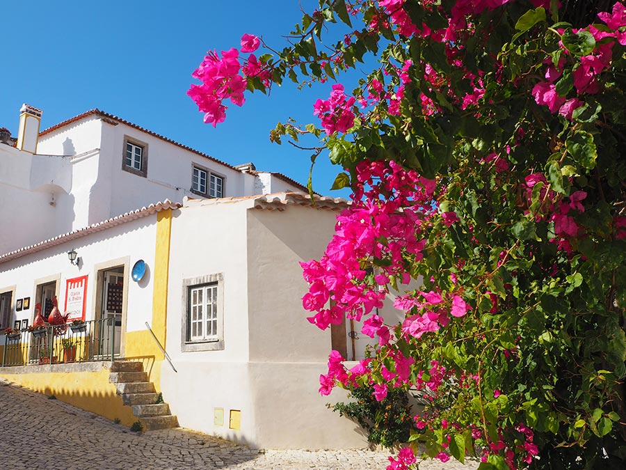 Visit Óbidos