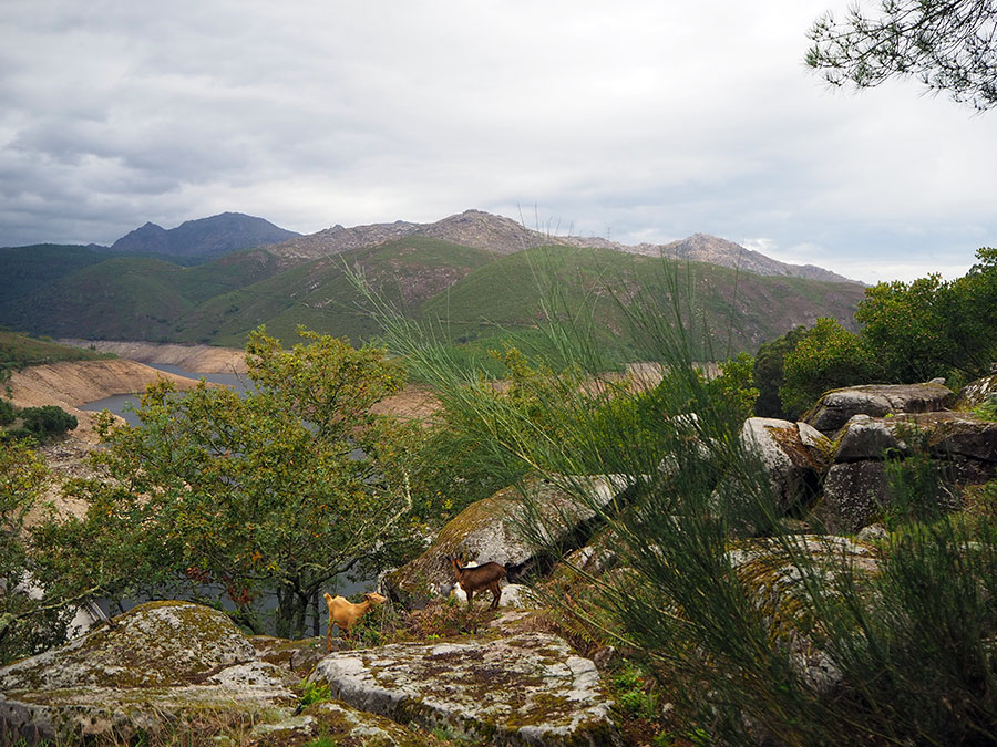 Cultural and Religious Heritage - Gerês