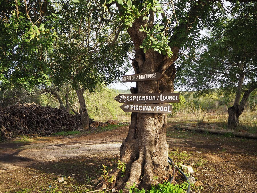 Quinta da Tôr