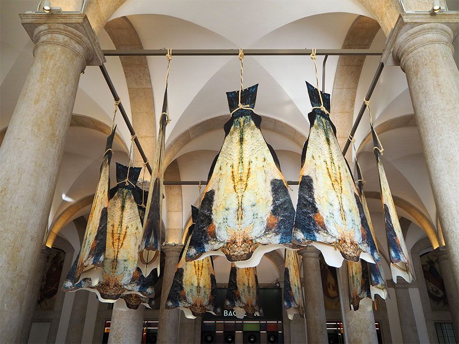 Centro Interpretativo de Bacalhau