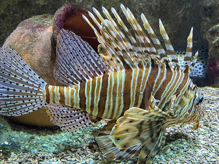 Op Zoek naar Leuke Uitjes