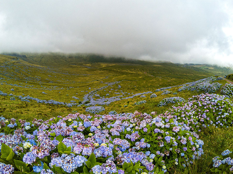 Cultural and Religious Heritage - Azores