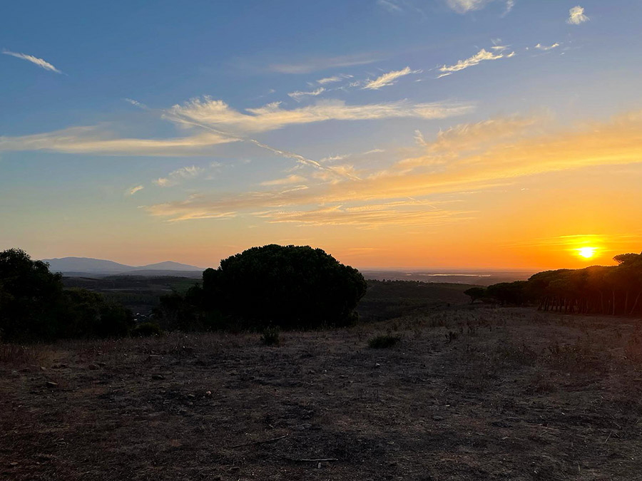 de Bossen van Barão de São João