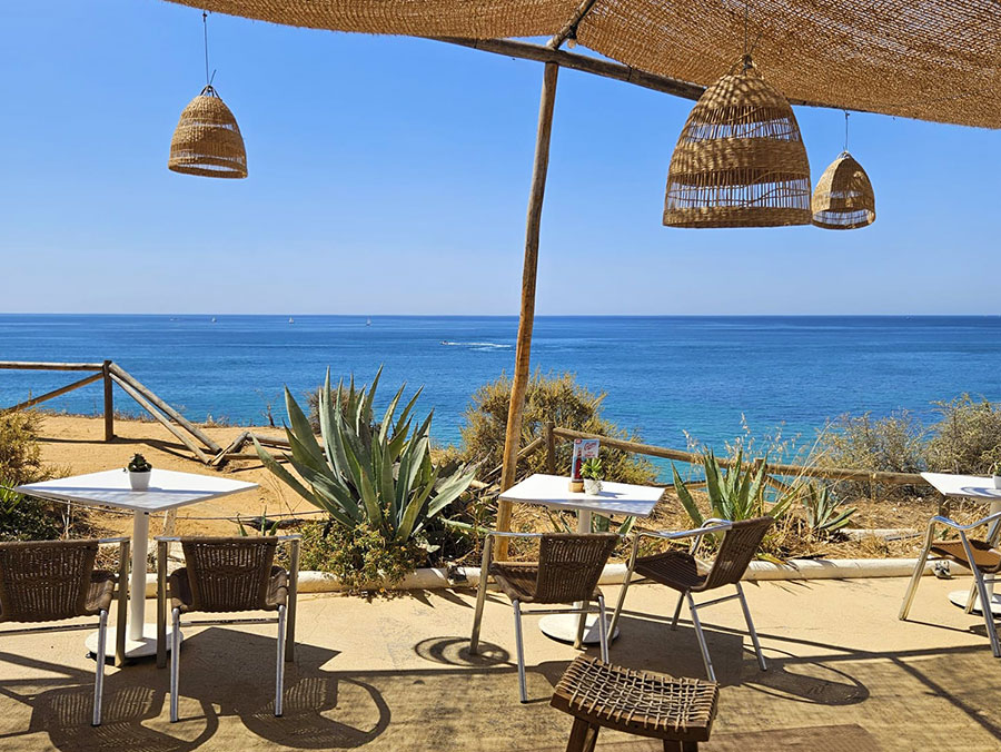 Haring vs. Sardientjes