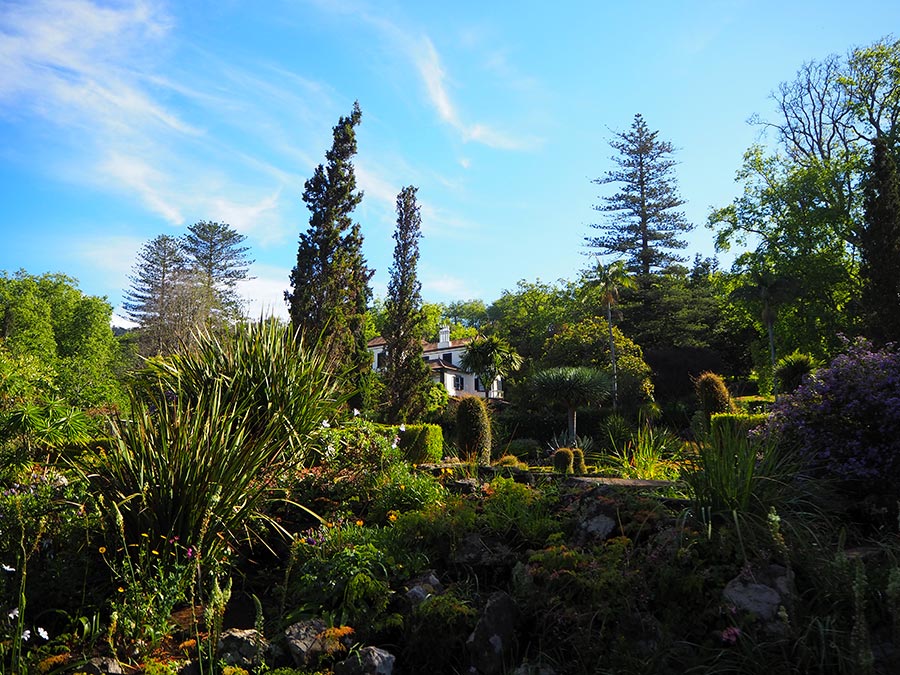 Jardins do Palheiro