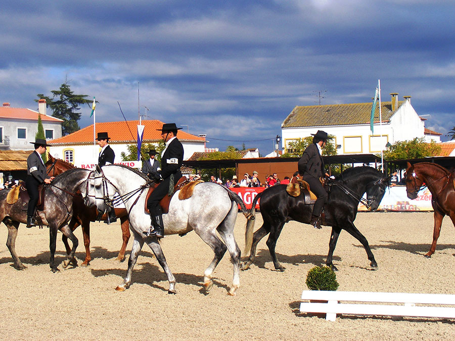 Feira Nacional do Cavalo Golegã