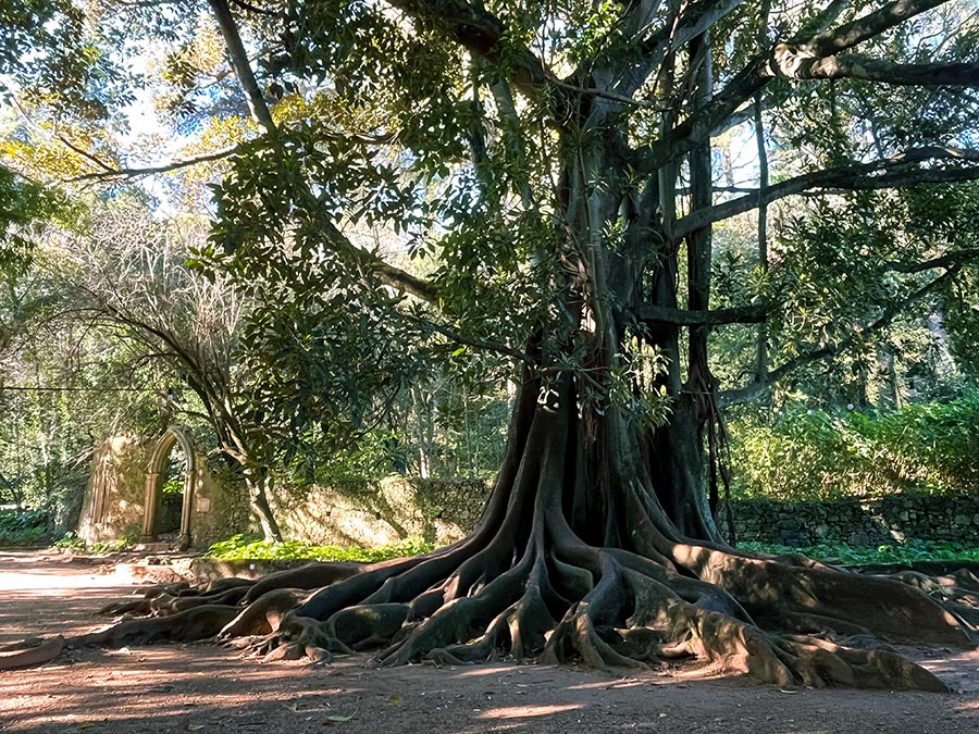 Jardins da Quinta das Lágrimas