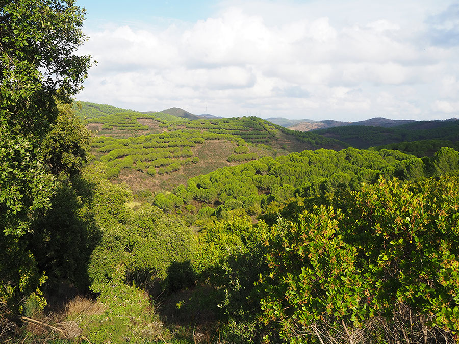 Serra do Caldeirão