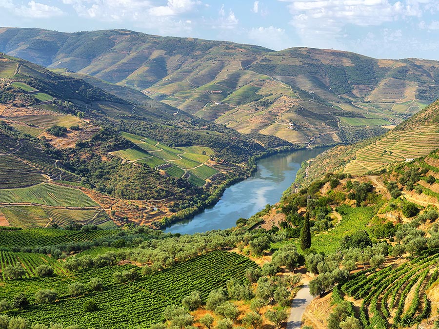 Mesão Frio Stadswandeling