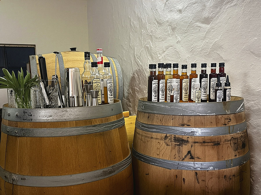 Niet Doorsnee Activiteiten in de Algarve