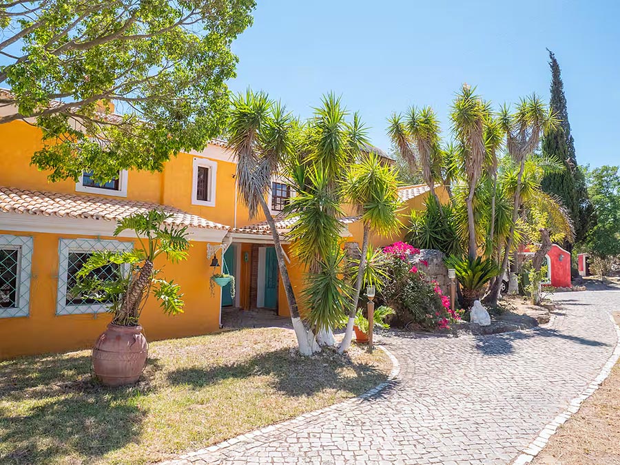 Charity, Cocktails & Carols