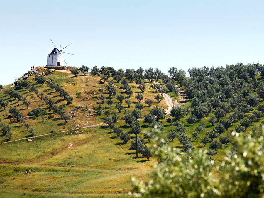 Música Portuguesa: Zé Miguel Amador